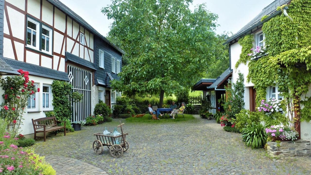 Ferienhof Mies Steffenshof Kültér fotó