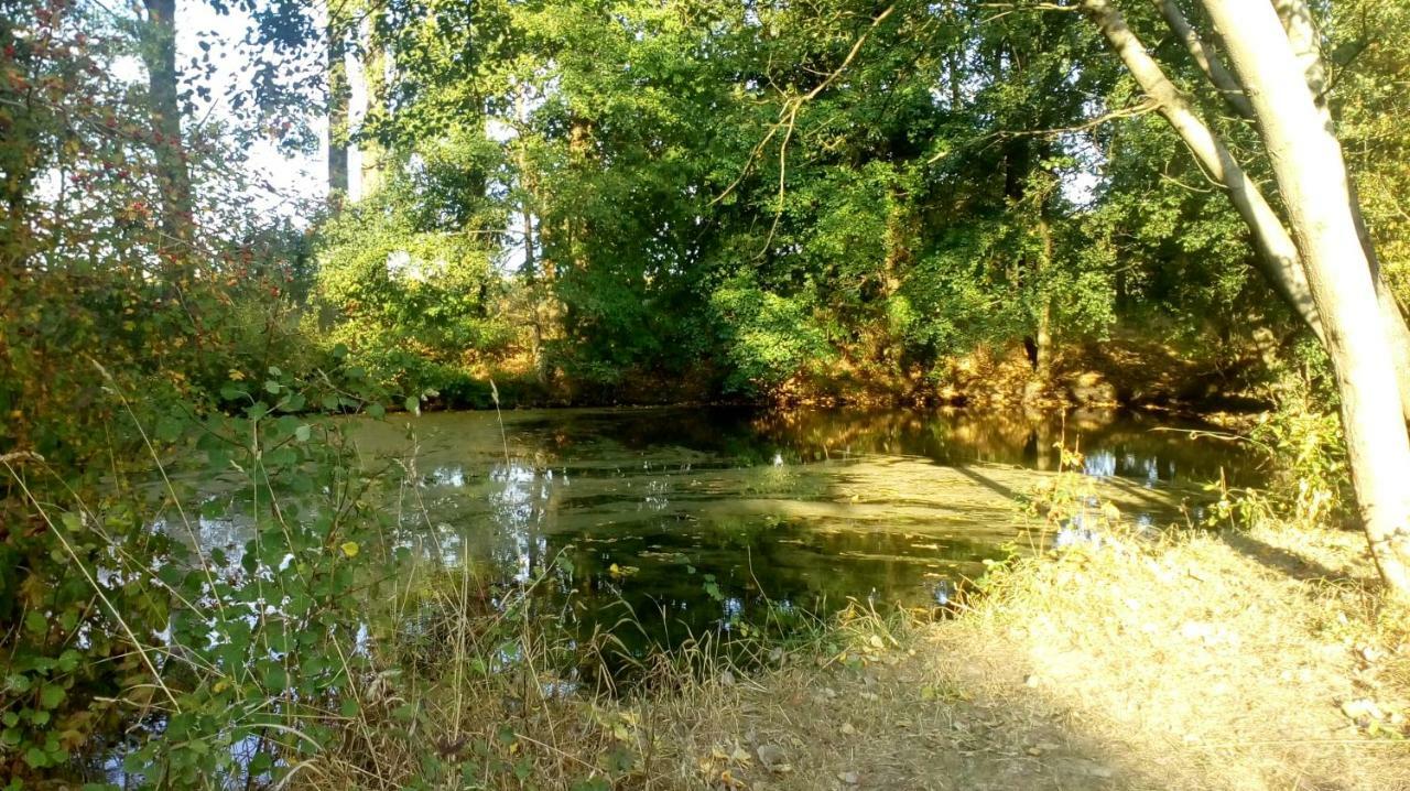 Ferienhof Mies Steffenshof Kültér fotó